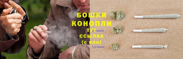 MDMA Новодвинск
