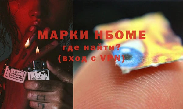 мдпв Новозыбков