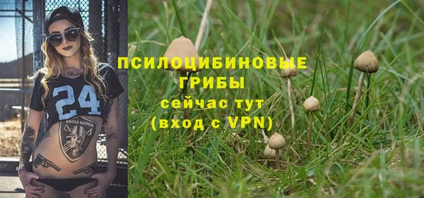 ALPHA PVP Дегтярск