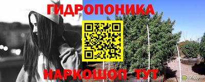 кокаин Заводоуковск