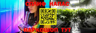 индика Заволжье