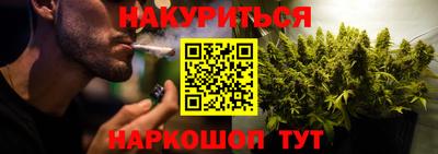 индика Заволжье