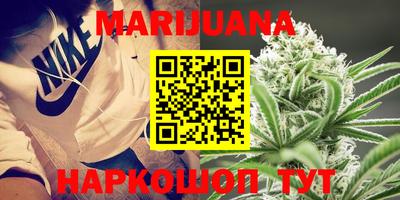 индика Заволжье