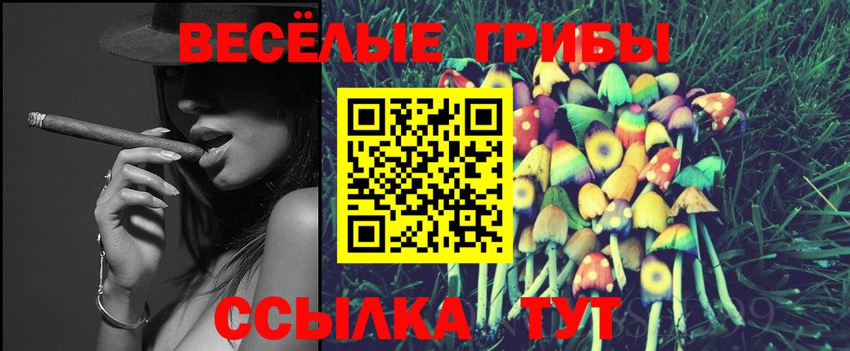 Галлюциногенные грибы Magic Shrooms Ишимбай